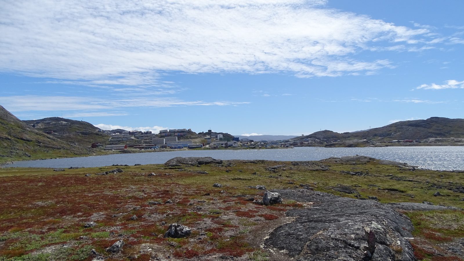 DSC01264.JPG